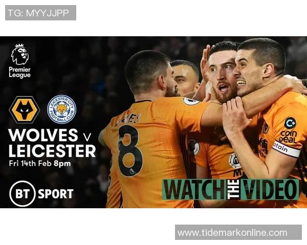 莱切斯特城与狼队对决谁将赢得胜利分析与预测 莱切斯特城与狼队对决谁将赢得胜利分析与预测