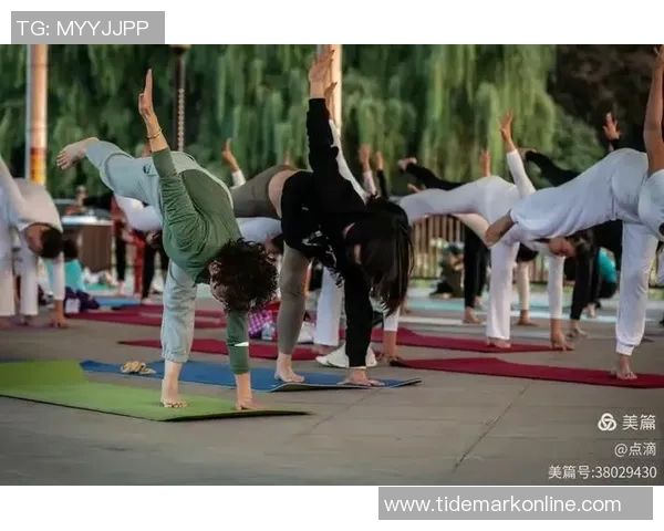 吕梁市对健身瑜伽二级社会体育指导员进行训练